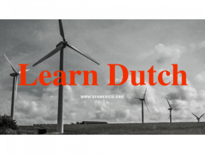 Aprender holandés con maestro nativo